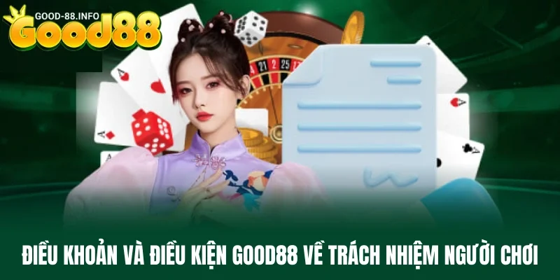 Quy định về trách nhiệm của người chơi theo điều khoản và điều kiện