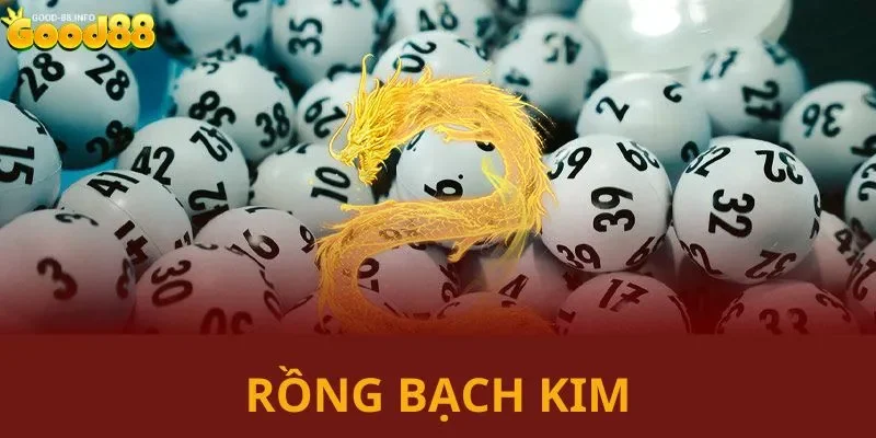 Rồng Bạch Kim - Soi Cầu Cực Chuẩn Xác Cho Anh Em Hội Viên